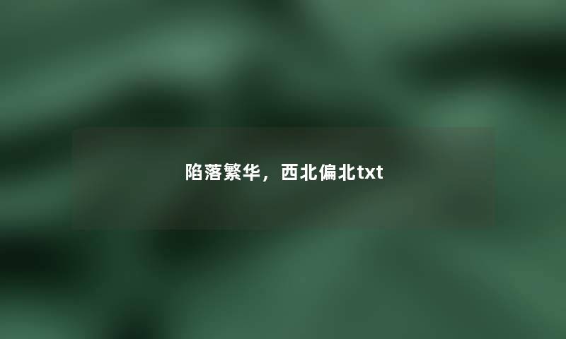 陷落繁华，西北偏北txt