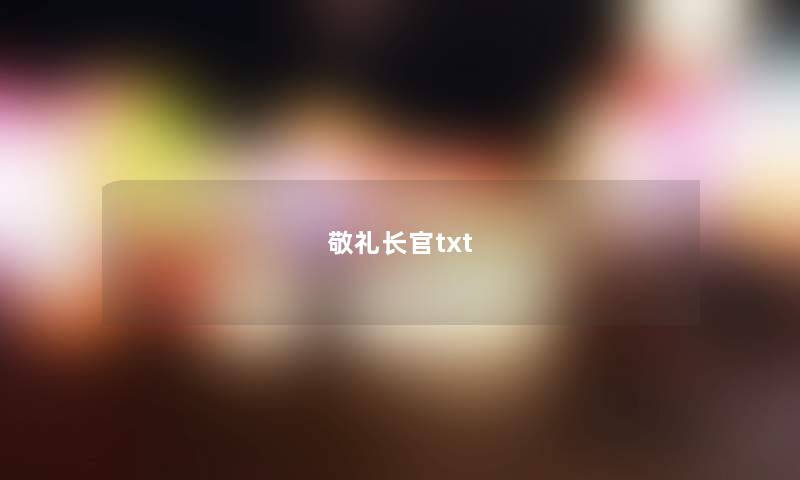 敬礼长官txt