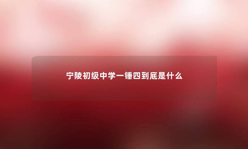 宁陵初级中学一锤四到底是什么