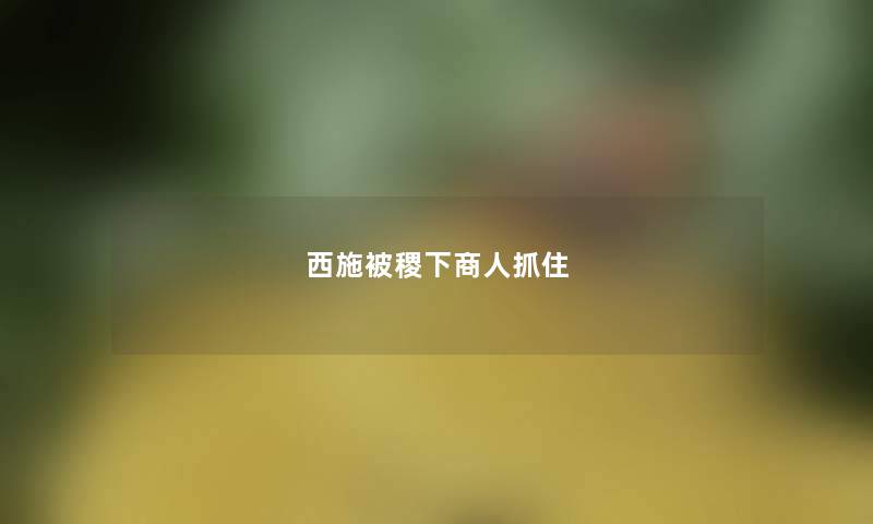 西施被稷下商人抓住