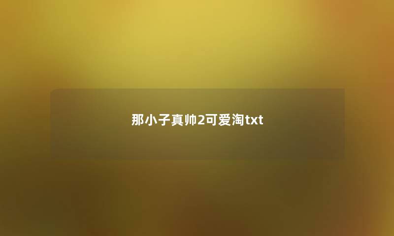 那小子真帅2可爱淘txt